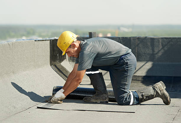 Best Specialty Insulation in Cherry Grove, OH
