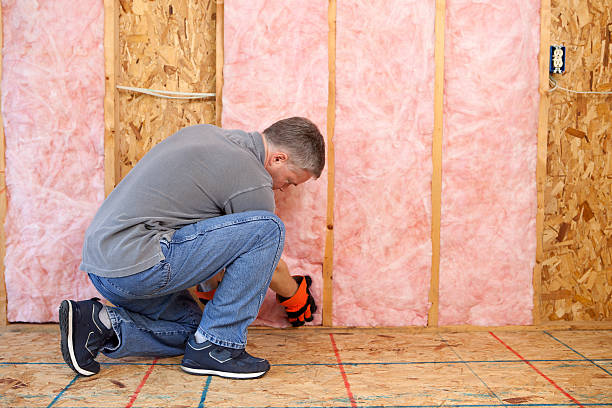 Best Insulation Installation Services in Cherry Grove, OH