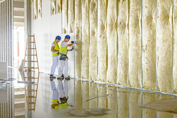 Best Types of Insulation in Cherry Grove, OH